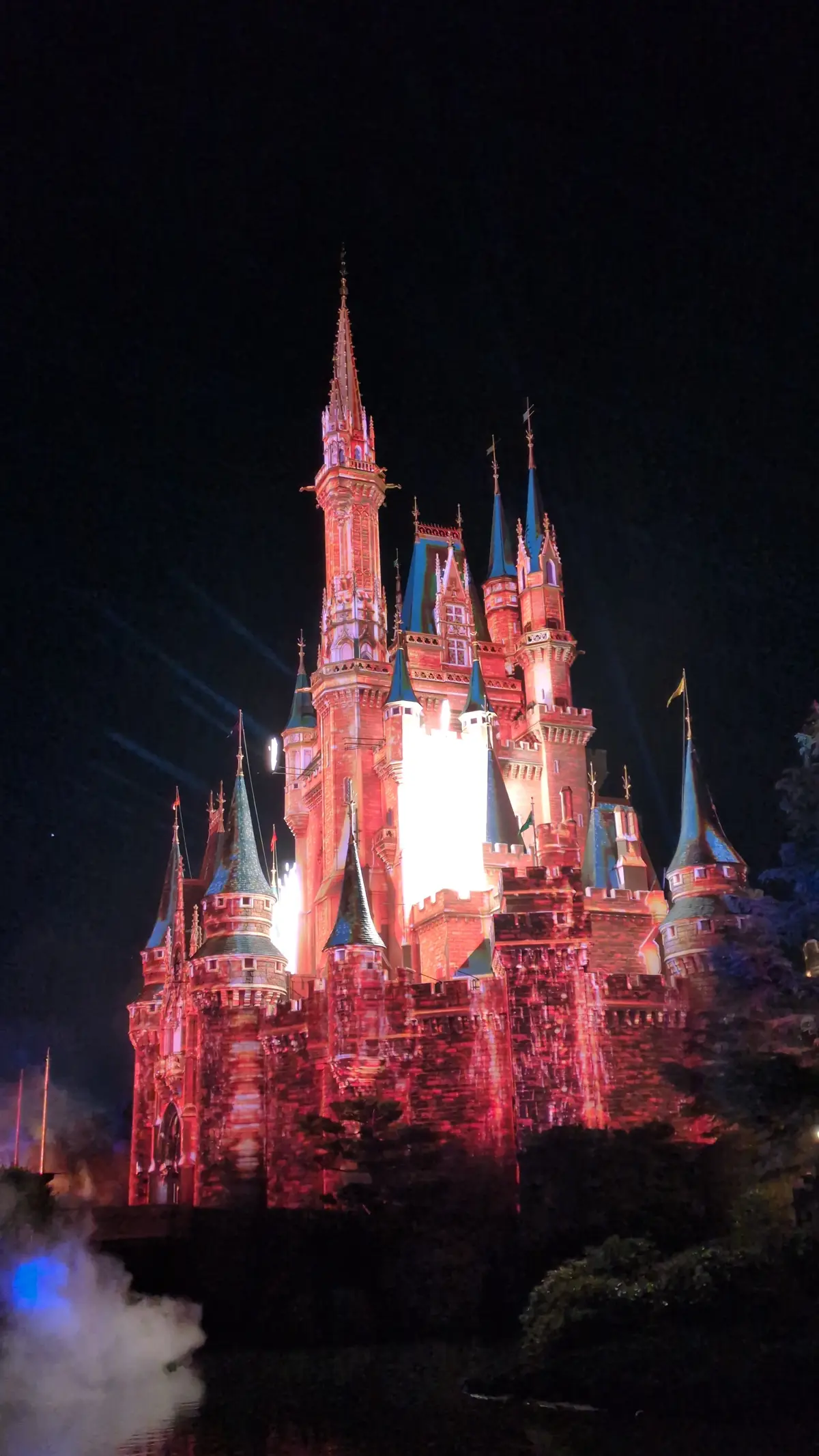 ２０２４年クリスマス直前！！【東京ディズの画像_19