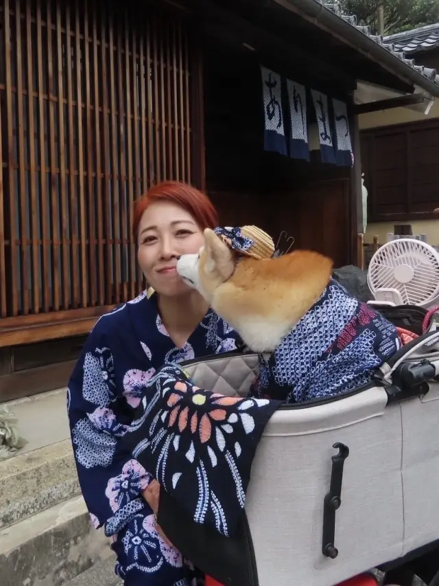 有松絞りまつりの画像_10