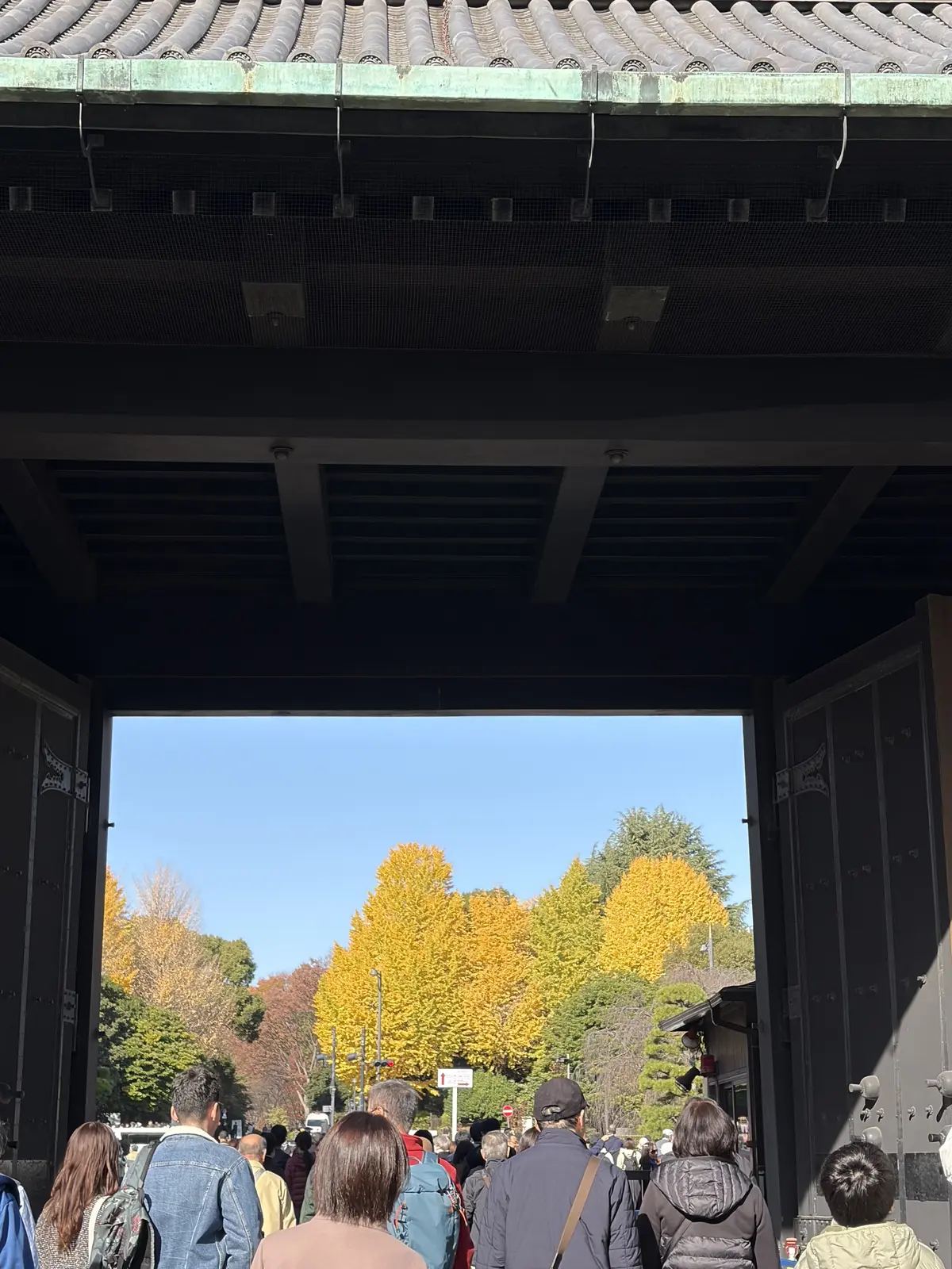 皇居の紅葉から重要文化財「明治安田生命館の画像_11