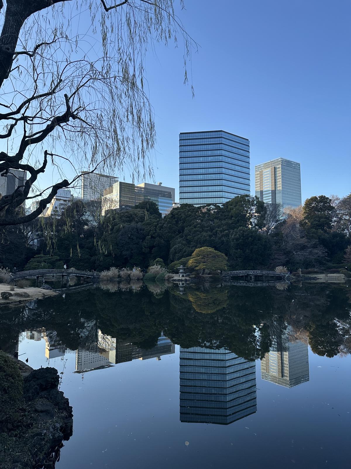 新宿御苑　都内　新宿　散策　自然　花　ビル　庭園