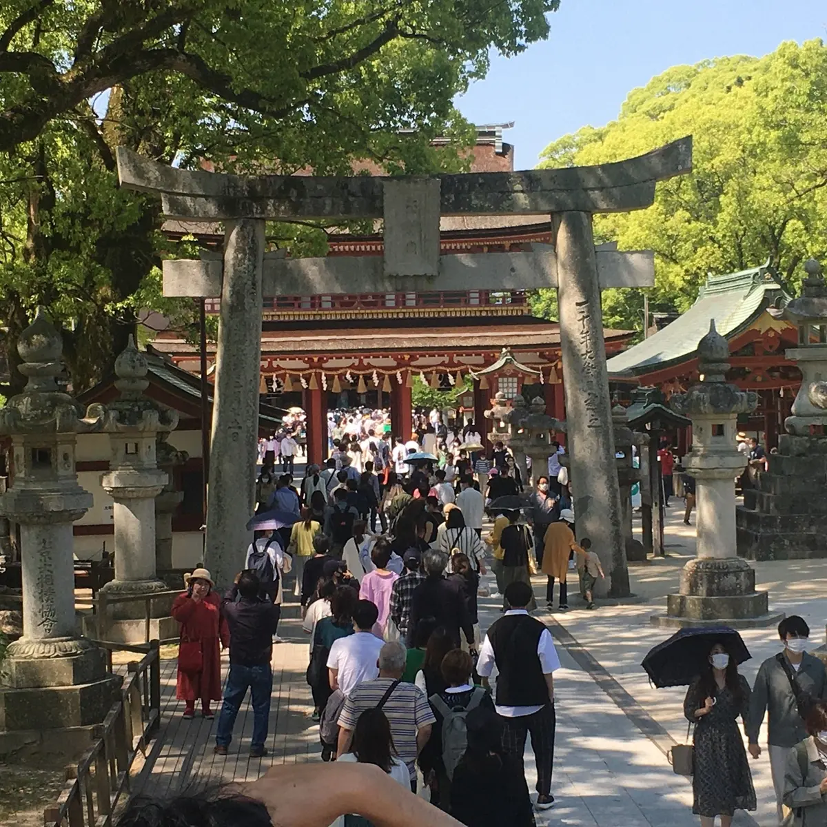 鳥居の向こうが御本殿です