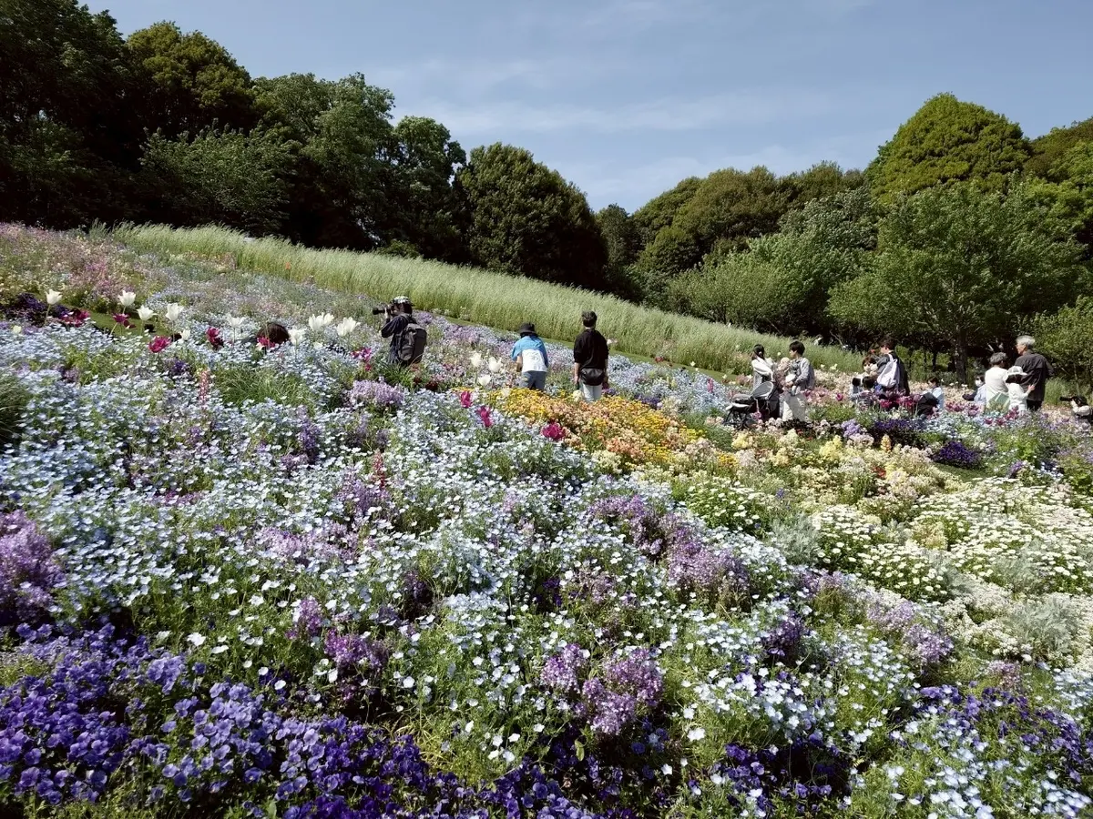 里山ガーデンフェスタ