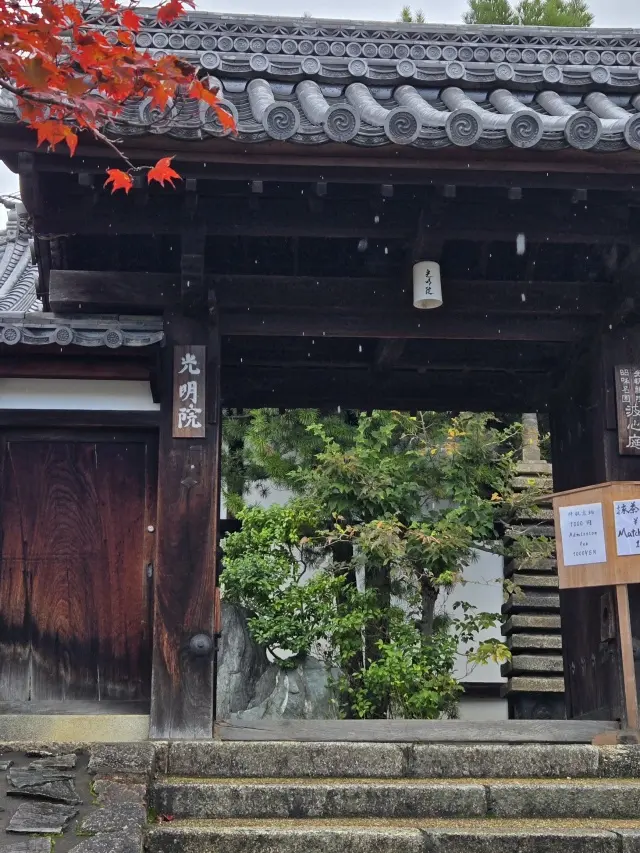 秋の京都ひとり旅・前編 〜弾丸旅の始まりの画像_10