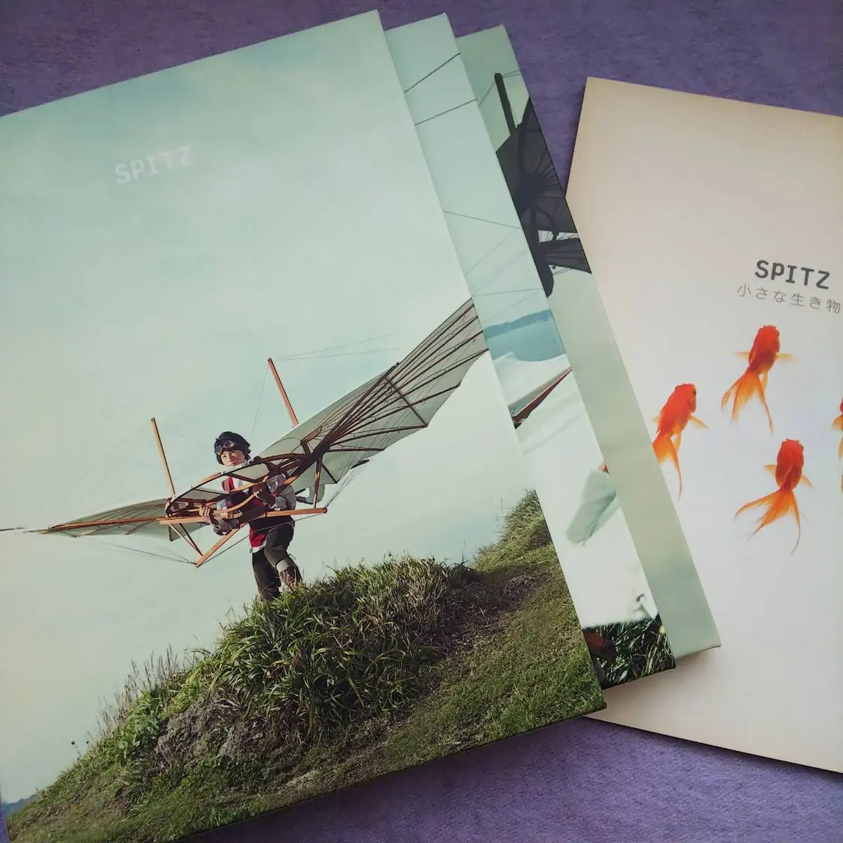 『愛しのスピッツ』の画像_3