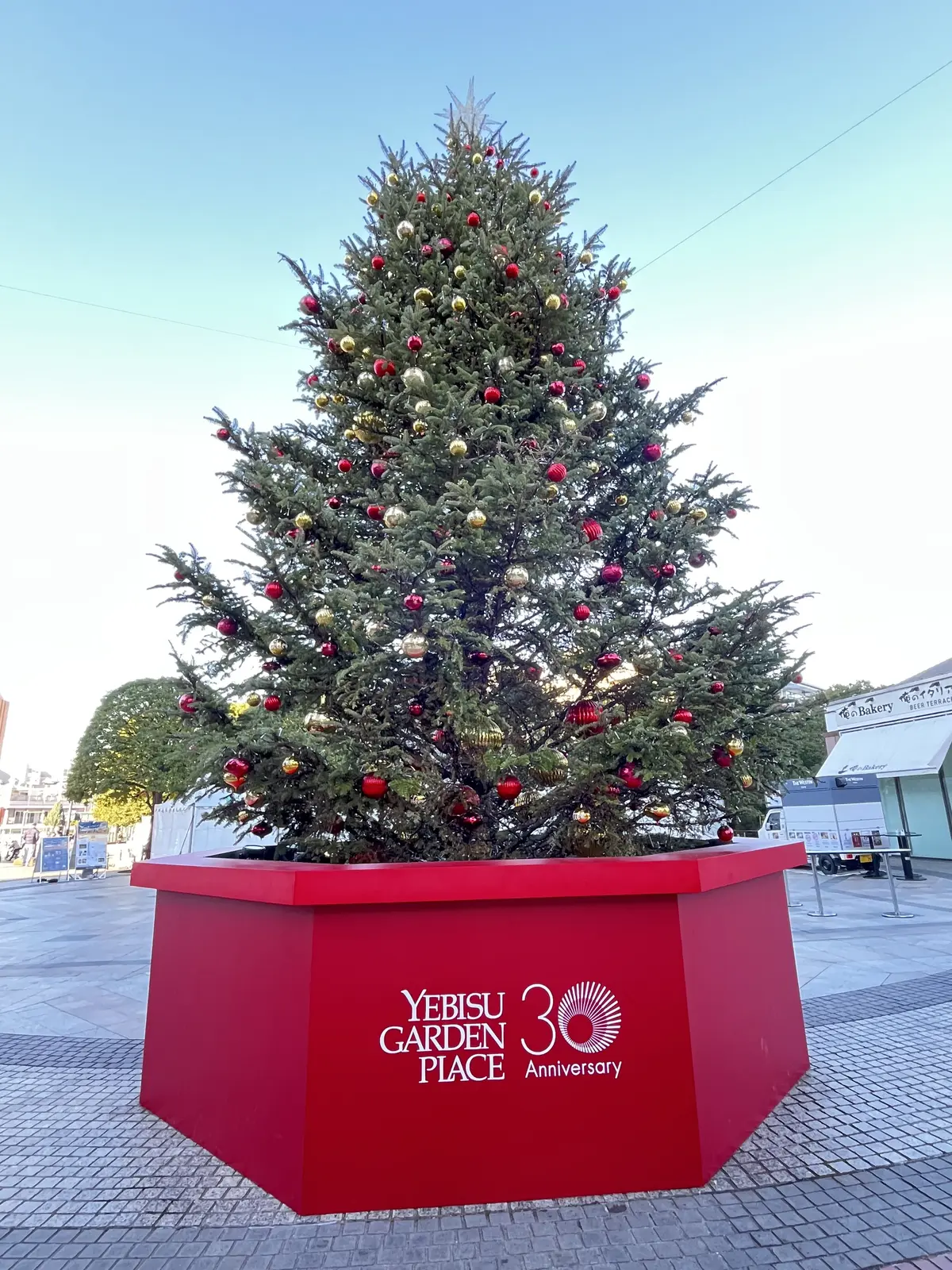 今年も見れた〝ウェスティン〟のクリスマスの画像_1