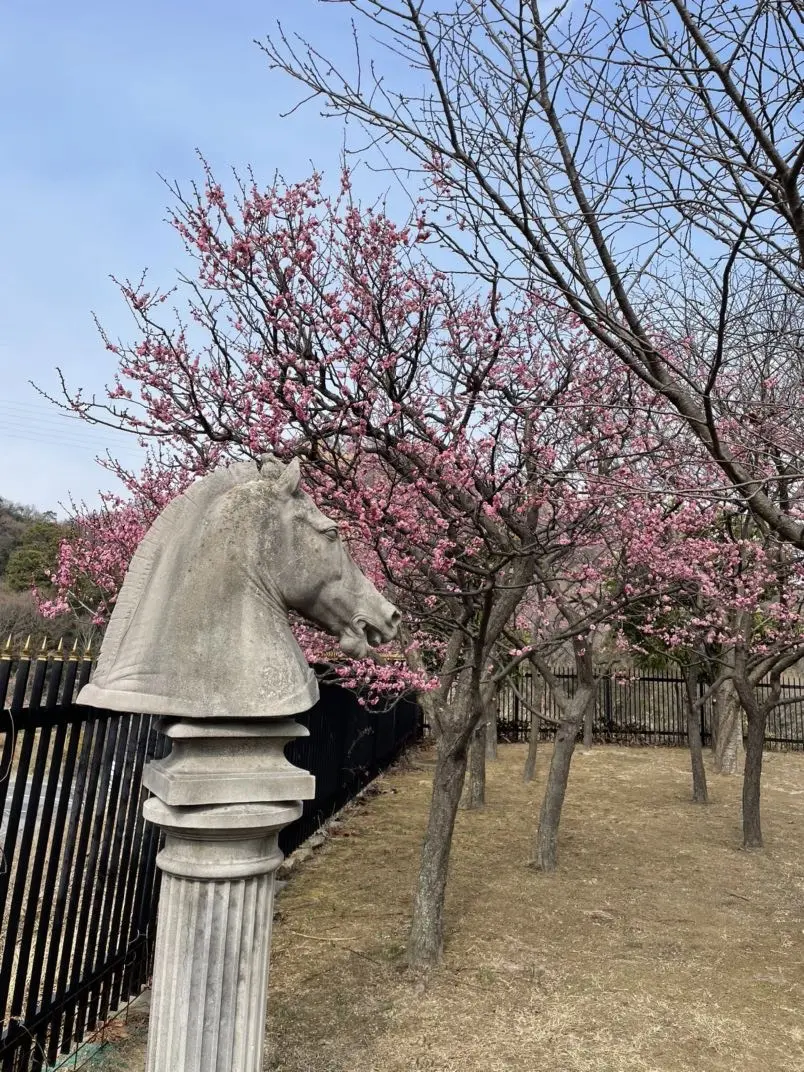 岡山県玉野市へ行って来ました！ドッグランの画像_11