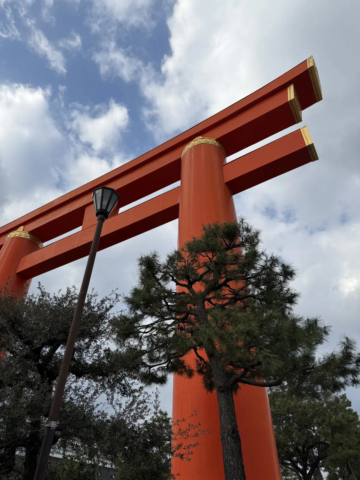 魅惑のGUCCI COSMOSへ@京都市の画像_1