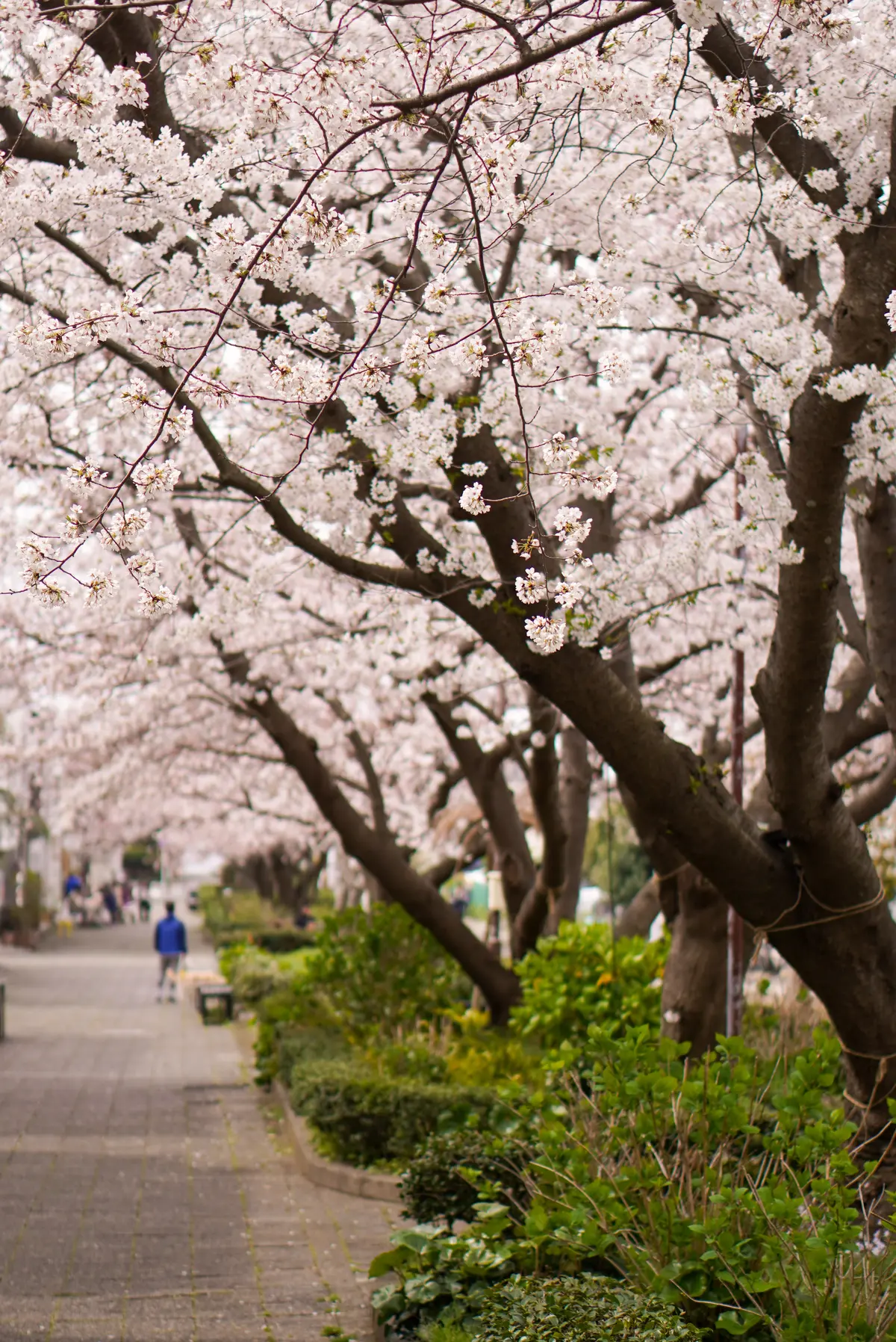 脚をきれいに見せてくれるUNIQLOデニの画像_3
