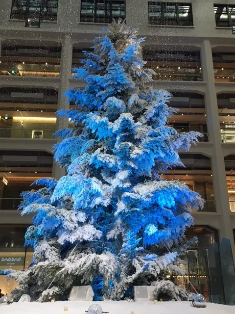 幸せなお誕生日の画像_3