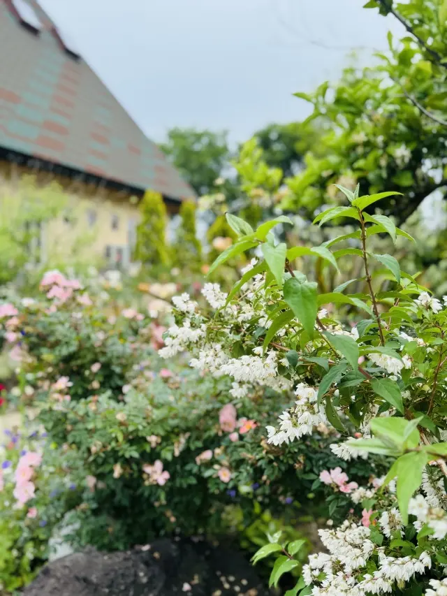 花盛り淡路島でフレンチを🍽️JマダムSAの画像_12