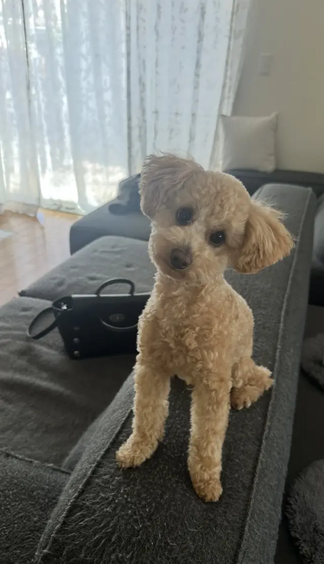 旅行3日目、THE LAKOTANのアクの画像_9