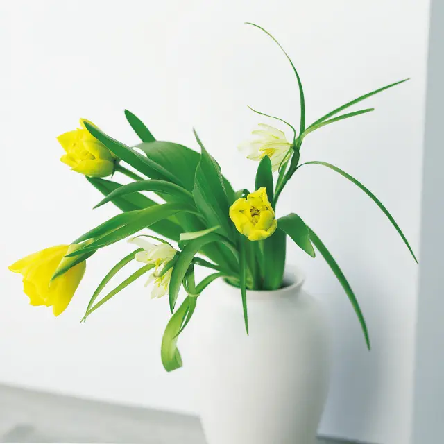 茎がしなやかなチューリップは支えとボリューム出しを葉に頼り、口が広く胴がふっくらとした花器を選択