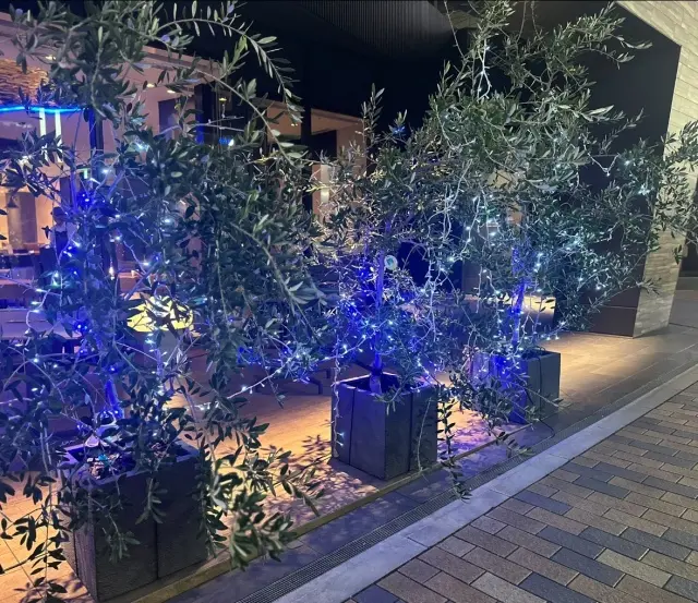 港町、神戸の夜。の画像_6