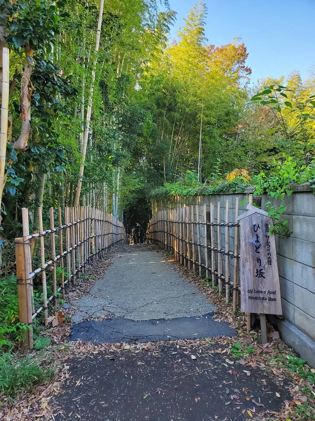 ひよどり坂入口