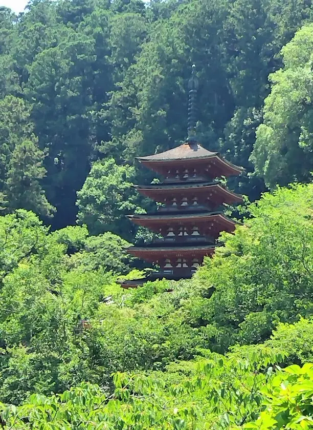 西国八番霊場　総本山 長谷寺　本堂からの眺め