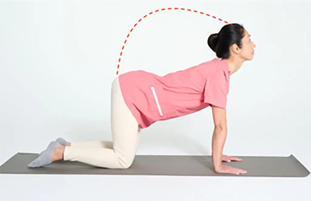 OurAge×Webエクラ　②息を吸いながらお尻の位置がずれないように、頭と尾骨が上向きの半円を描くようなイメージで体を反らせます。このとき坐骨を壁に押しつけるイメージで左右の坐骨を開きましょう。