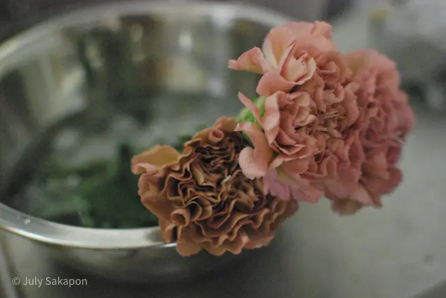 誰でもバラ姫☆@港の見える丘公園の画像_15