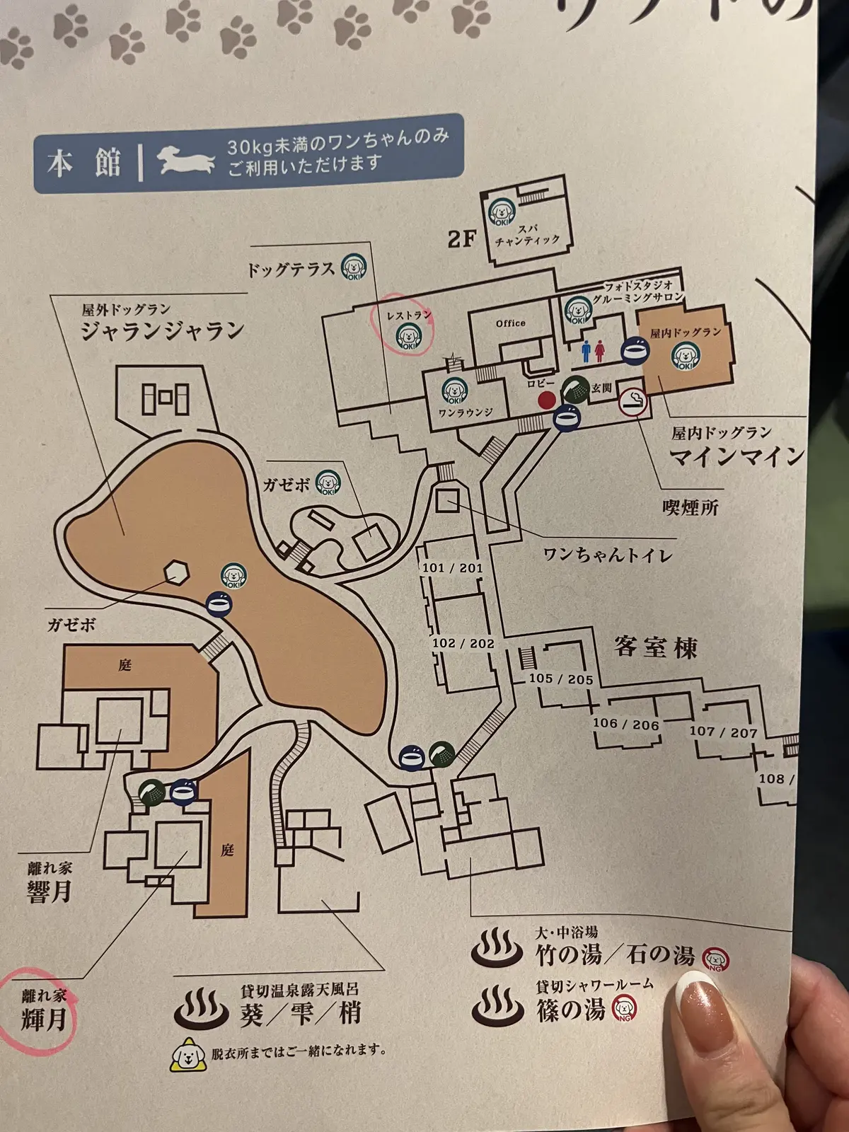 お宿のマップ！