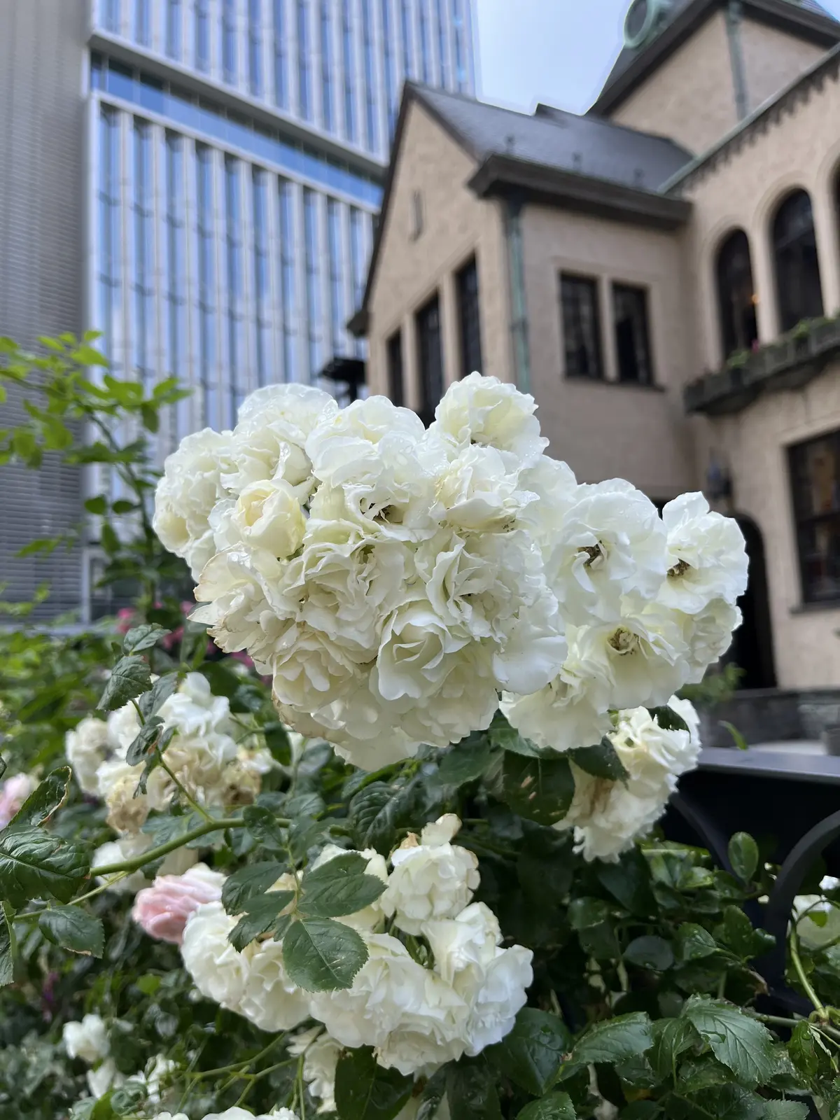 1人時間を楽しむ。銀座＆紀尾井町編その②の画像_5