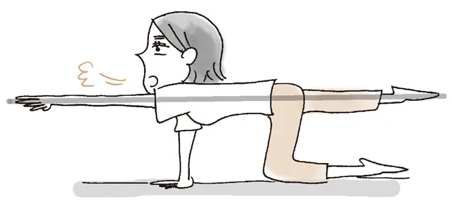 息を吐きながら、ゆっくりと片側の足をまっすぐ上げる。床と平行にして水平に