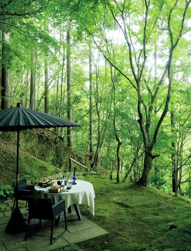 みずみずしい青もみじに囲まれるランチ