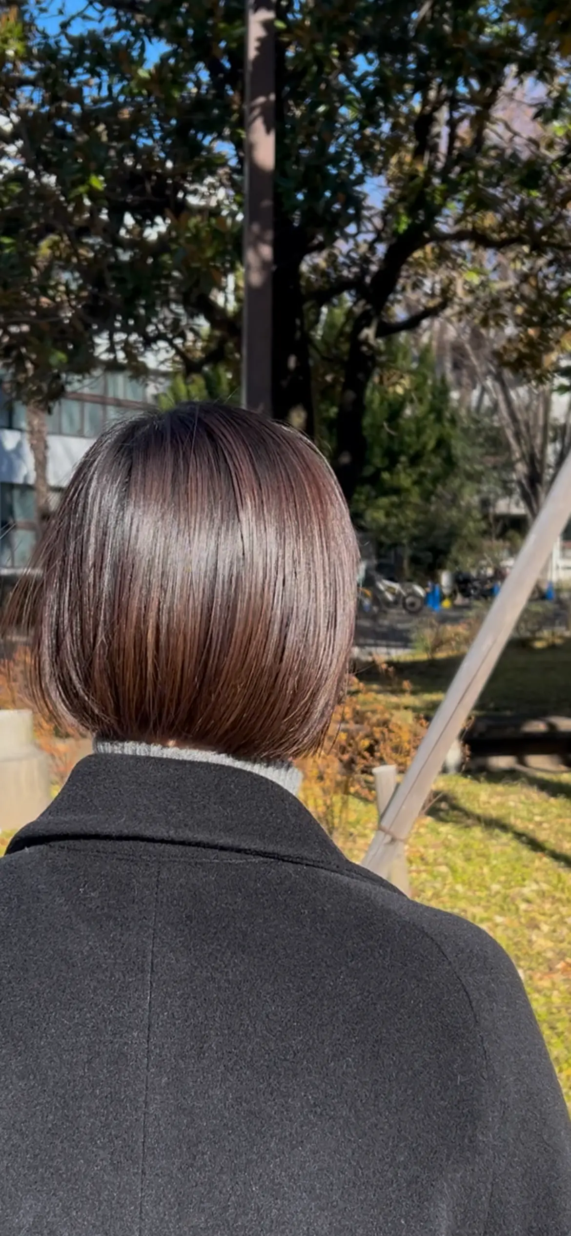 「髪キレイだね」と言われる事が自慢ですの画像_13