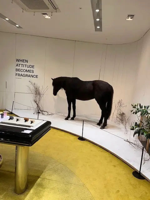 韓国旅行盛りだくさんな　1日目の画像_8