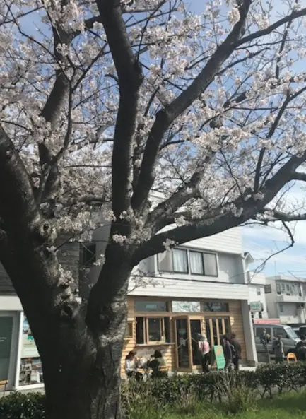Pacific BAKERY