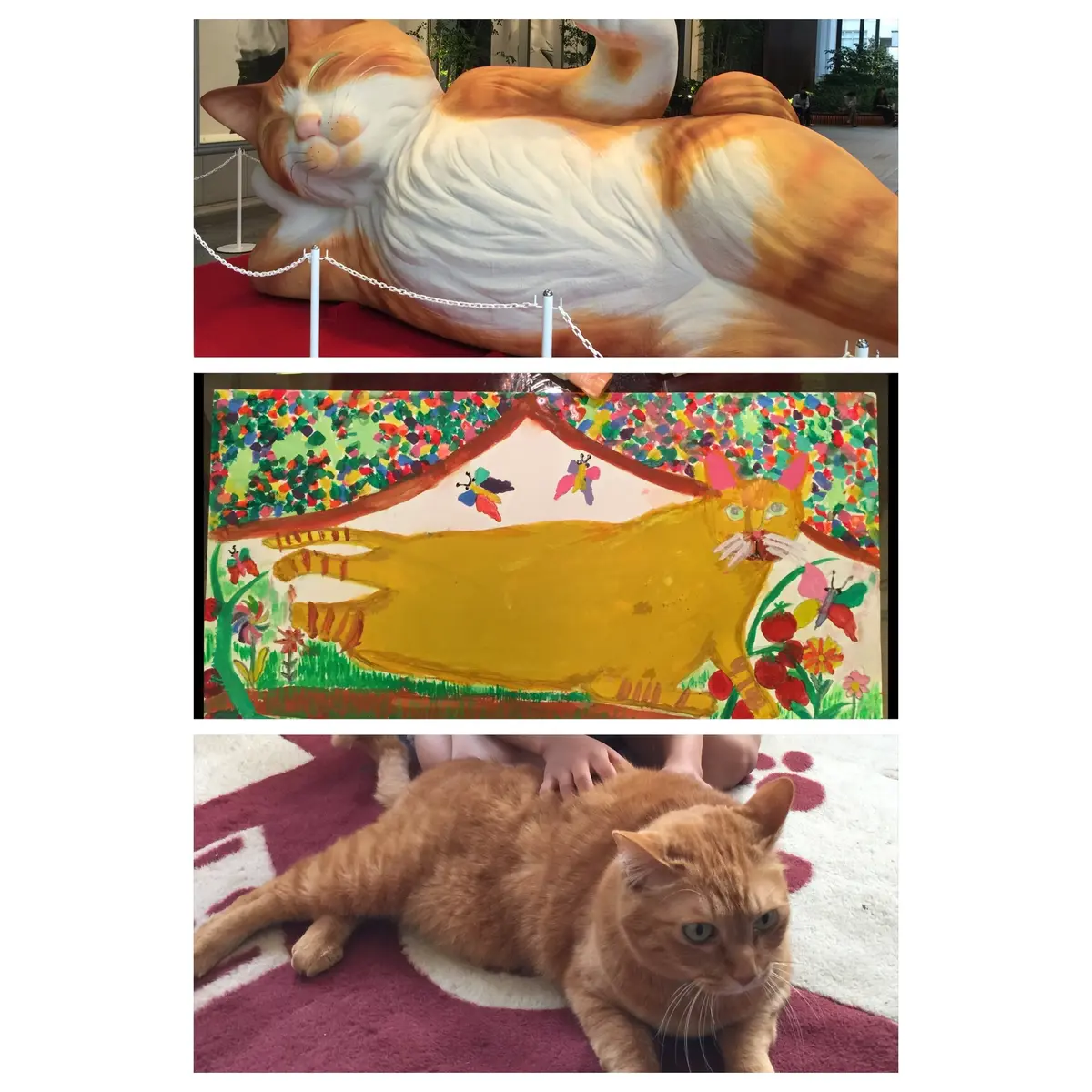 今日のエクラキャットの画像_1