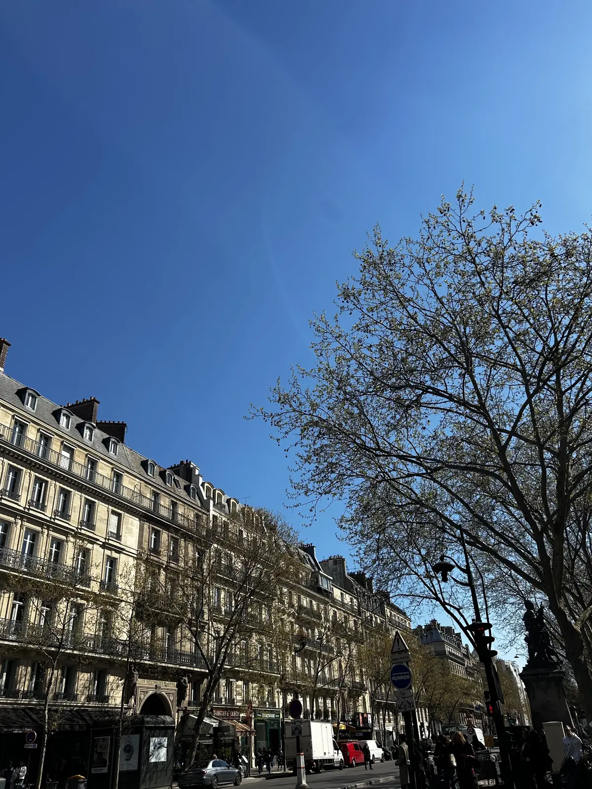 サン=ジェルマンデプレ　フレンチ