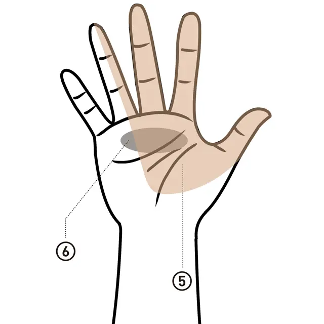 更年期世代の「指の不調」は主にここに現れる2