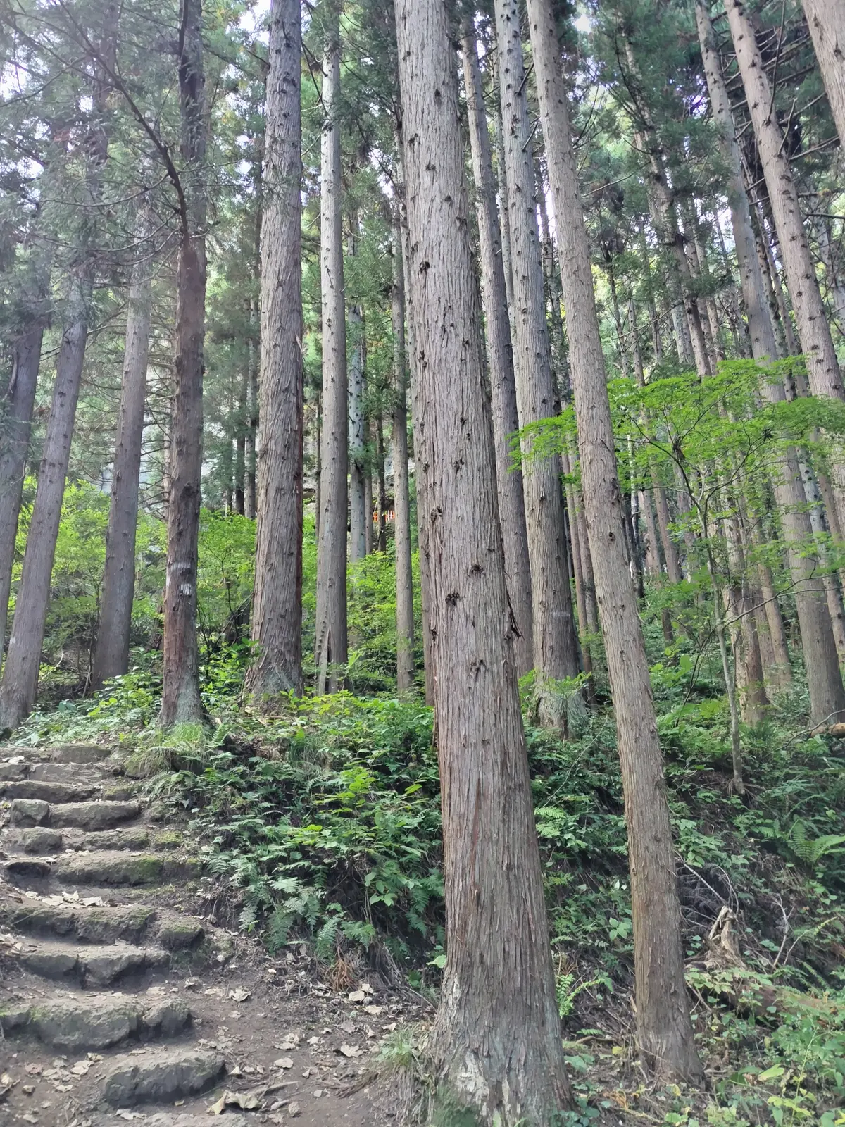 峯の浦・垂水遺跡