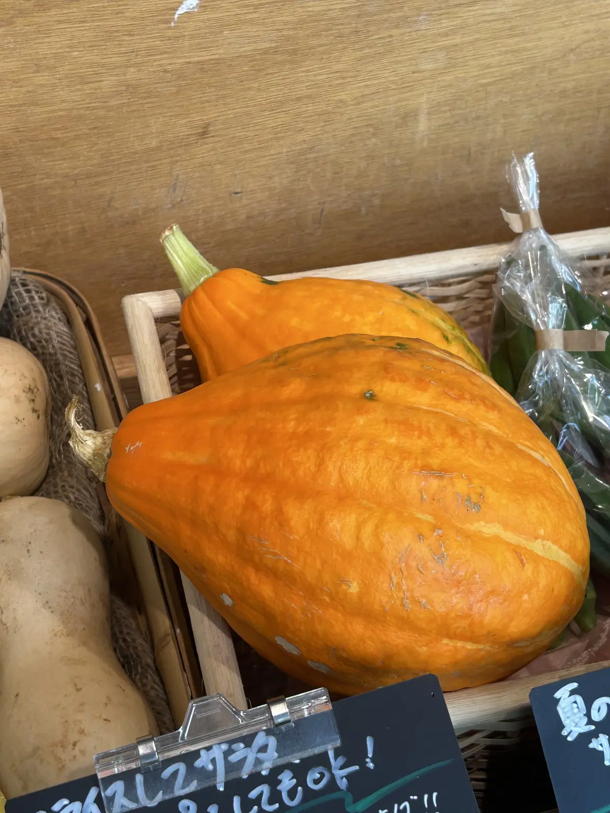 湘南 T-SITE  蔦屋書店　FOOD&COMPANY