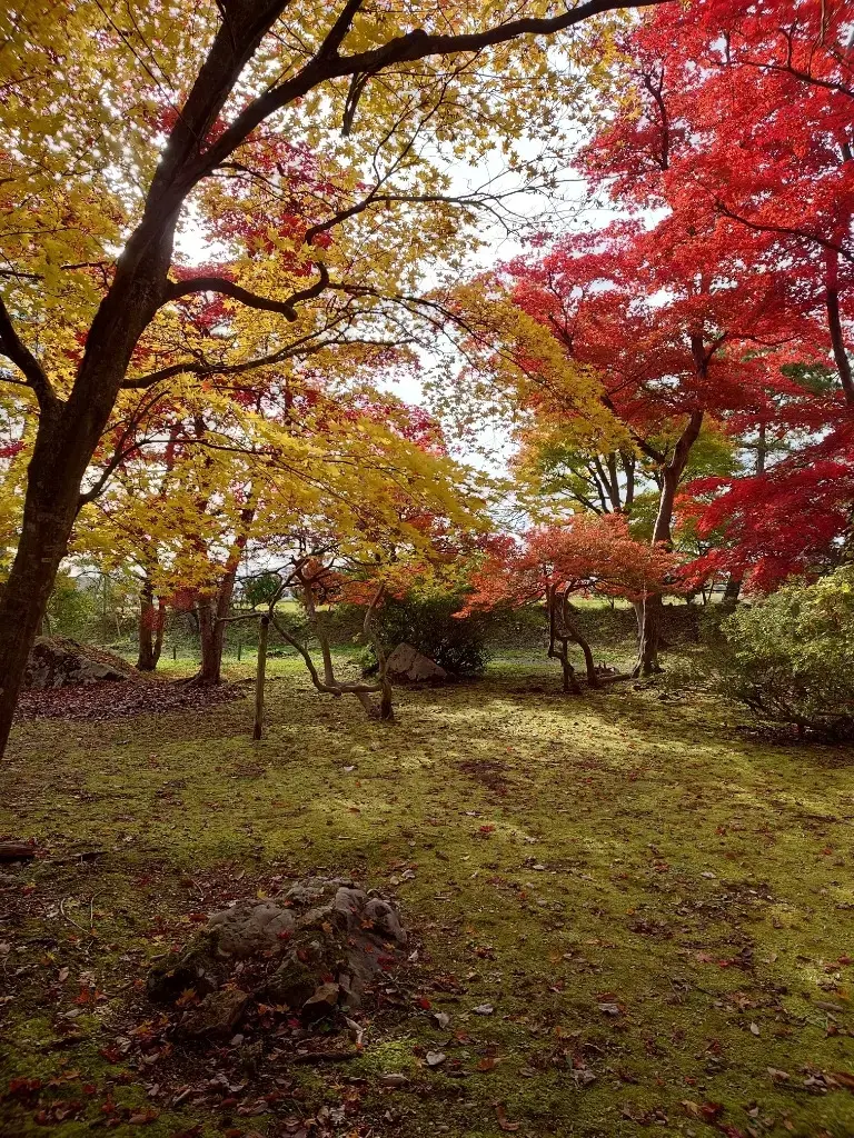 分家庭園の紅葉