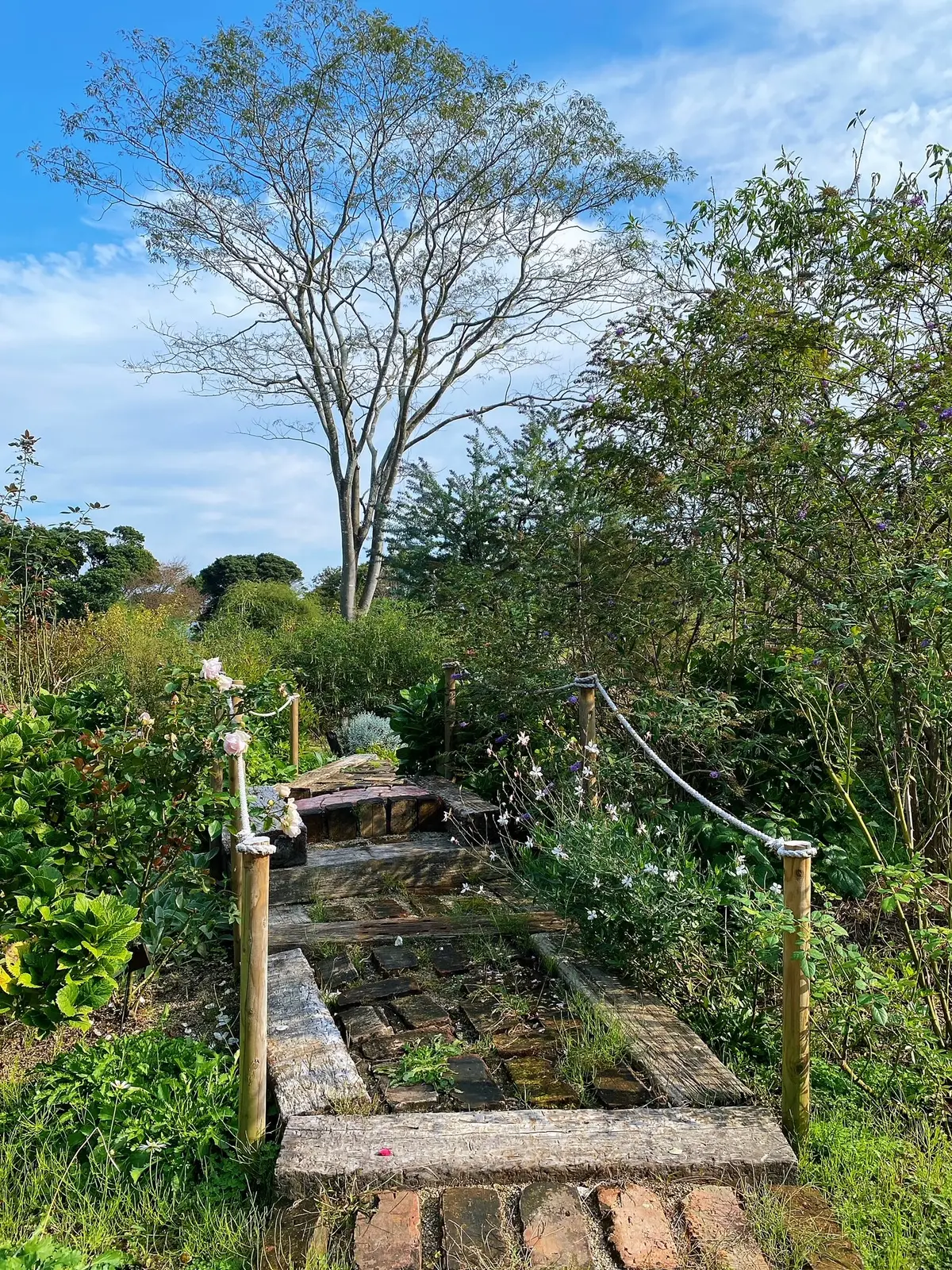 九州旅行　〜別府・美しい大神ファーム〜の画像_8