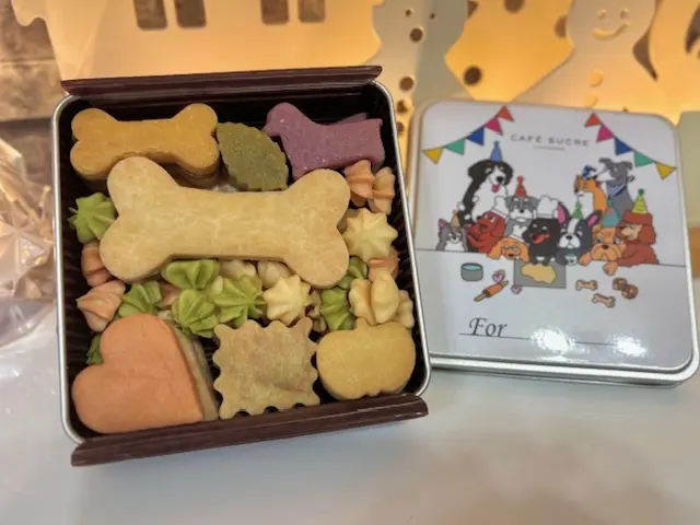 ワンちゃんとくつろげる北欧風カフェへの画像_8