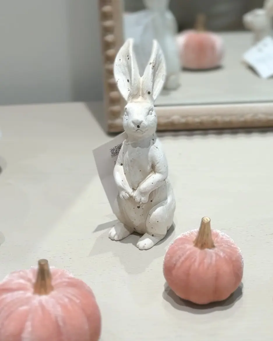 秋のはじまりを楽しみながら、一足先にハロの画像_4