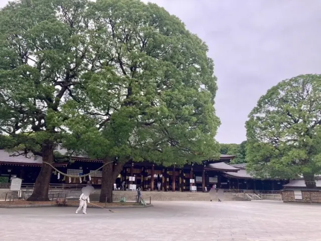 本殿と夫婦楠。