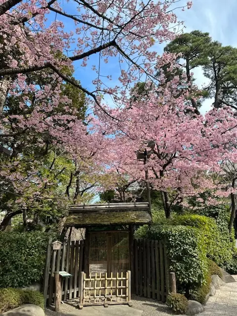 ネイビーコーデで、八芳園ランチへ。の画像_2