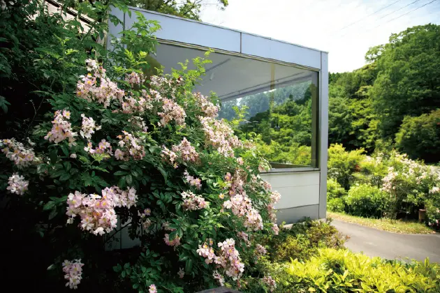 熊本の“ツクシイバラ”を楽しめる、至福のの画像_2