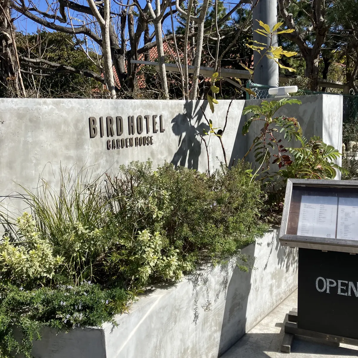 鎌倉おしゃれレストランの画像_1