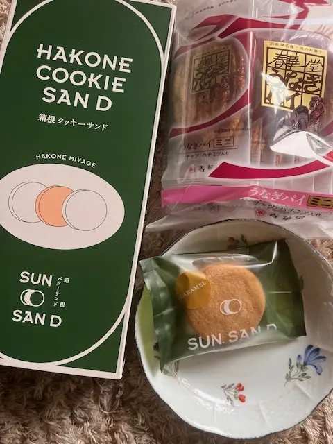 箱根新スポット　絶景の芦ノソラへの画像_16