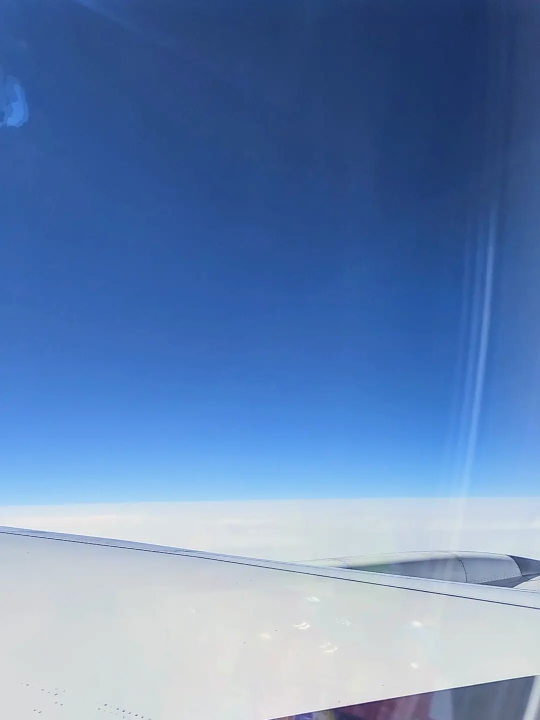 【春の沖縄旅】何着てく？何食べる？の画像_1