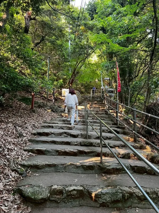 岐阜城楽市と金華山ロープウェーの画像_10