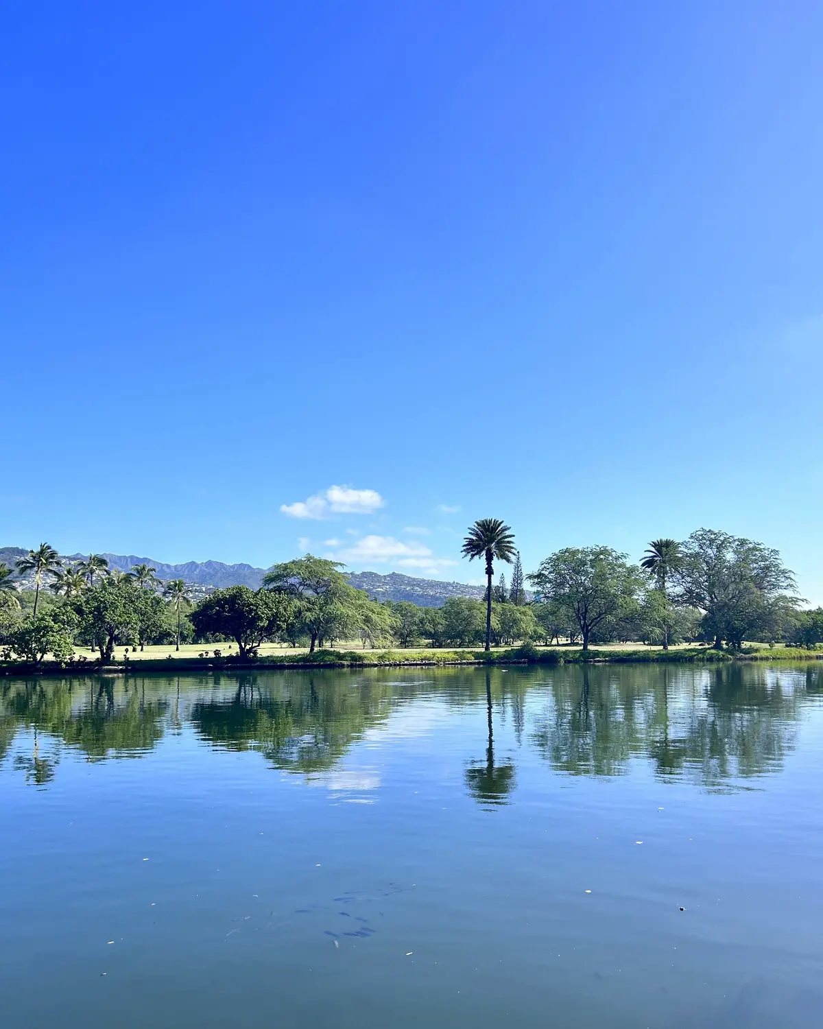 アラフィフ夫婦海外旅行〜ハワイへ Parの画像_2