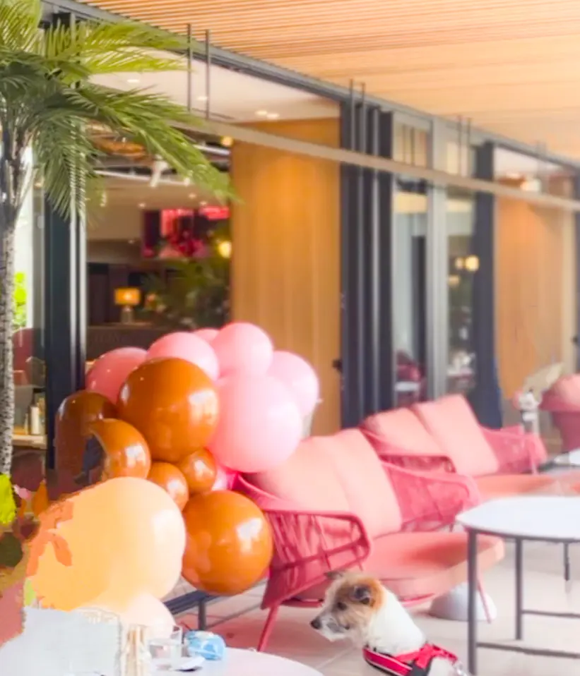 【原宿・渋谷】Hawaiiの人気店 Tiの画像_7