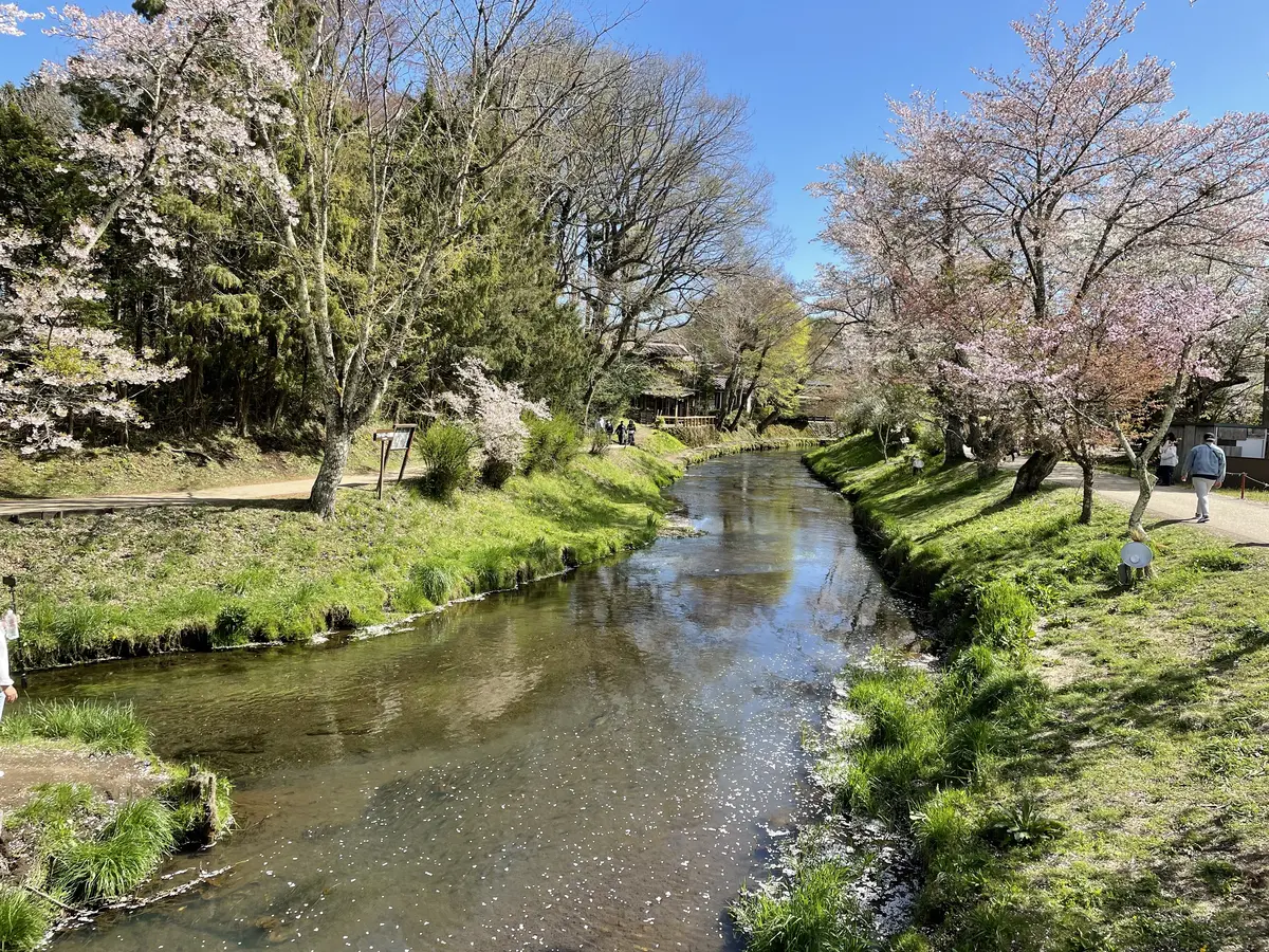 山中湖アラフィー女子旅♡感動の忍野八海編の画像_1