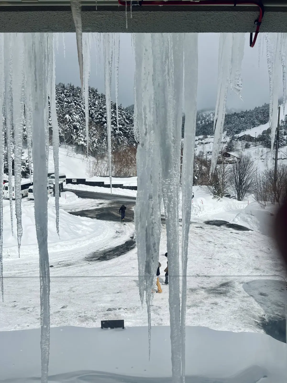 万座プリンスホテルの室内から見たつらら