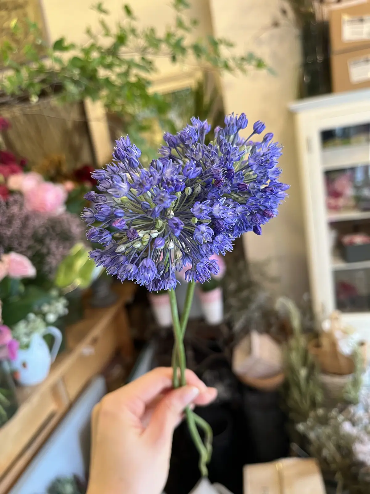 特別なブーケの画像_7