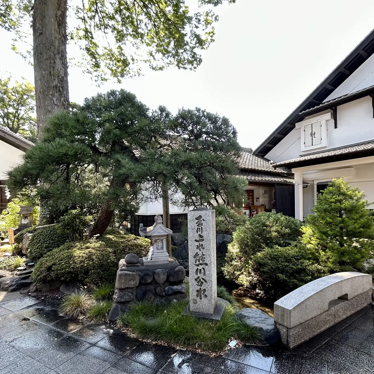 酒蔵散策と美酒香るランチの画像_4